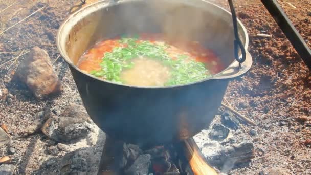 Hervidor de agua sobre fogata — Vídeos de Stock