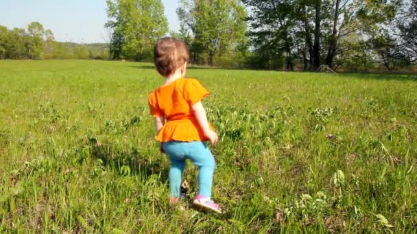 Baby first steps on green lawn — Stock Video