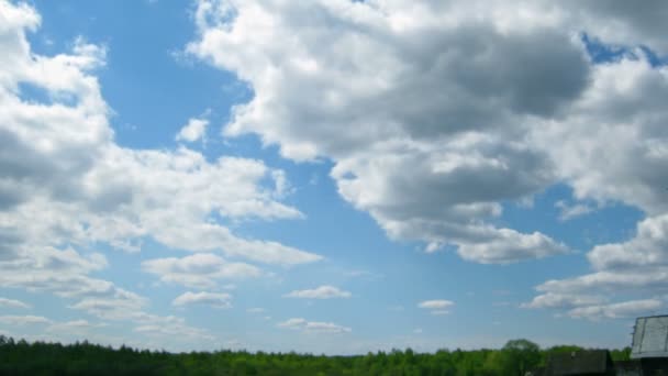Тімелапс з хмарами, що рухаються над лісом — стокове відео