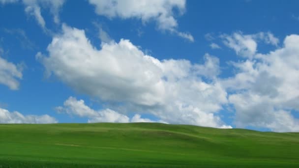 흐린 하늘-timelapse 아래 잔디와 녹색 언덕 — 비디오