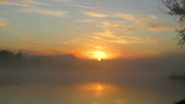 Timelapse paisaje con salida del sol sobre el río — Vídeo de stock