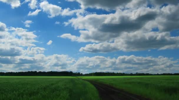 Timelapse met wolken verhuizen naar u over groene veld met track — Stockvideo