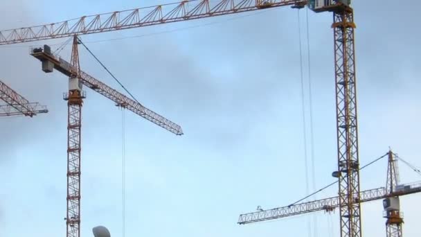 Grues de construction en état de marche - timelapse — Video