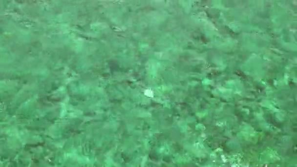 Fondo de agua esmeralda en aguas poco profundas — Vídeos de Stock