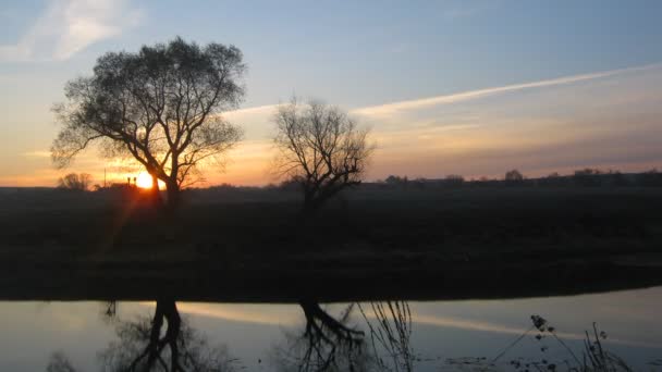 Paysage au lever du soleil avec arbre et lac — Video