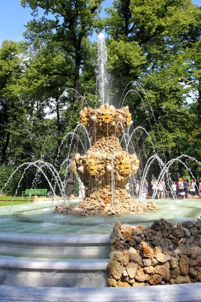 Fonte no jardim de verão renovado — Fotografia de Stock