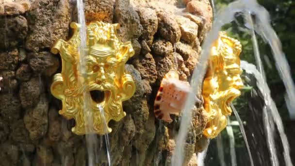 Brunnen Detail im renovierten Sommergarten st. petersburg russland — Stockvideo