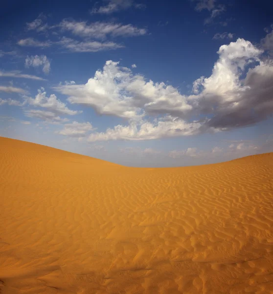 Landsape in desert — Stock Photo, Image