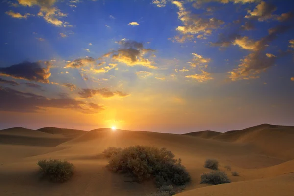 Salida del sol en el desierto —  Fotos de Stock