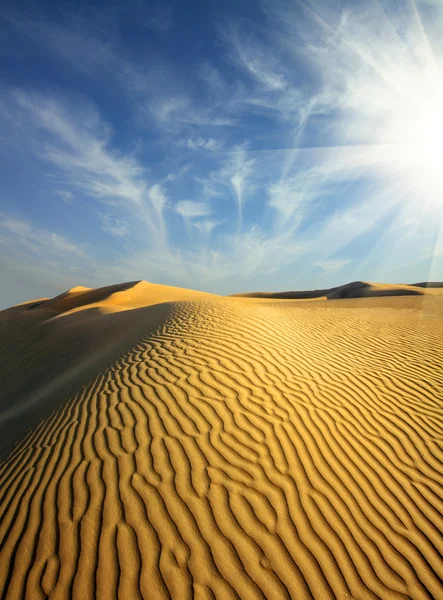 Evening desert — Stock Photo, Image