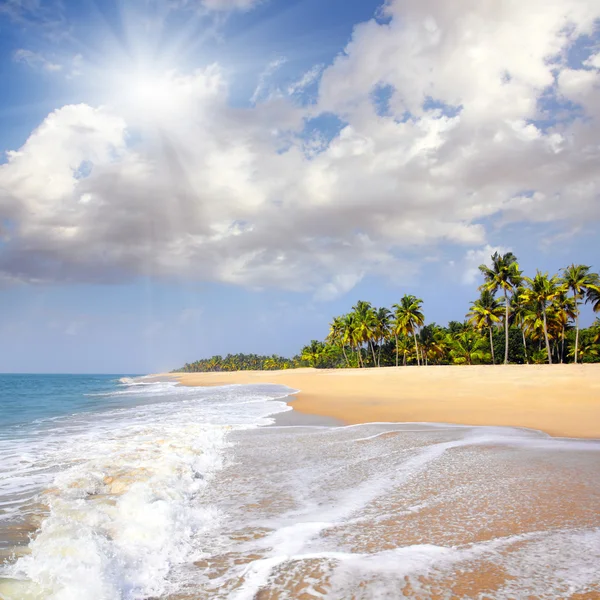 Paesaggio della spiaggia — Foto Stock