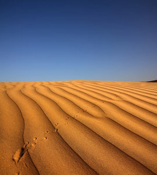 Voetafdruk op zand-duin in woestijn — Stockfoto