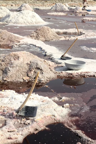 Minería de sal en India — Foto de Stock