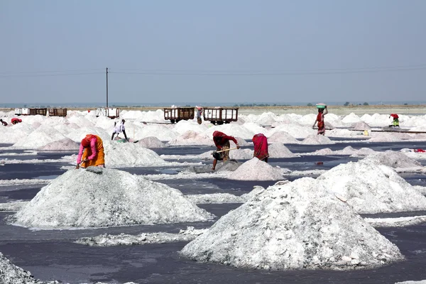 Minería de sal en India — Foto de Stock