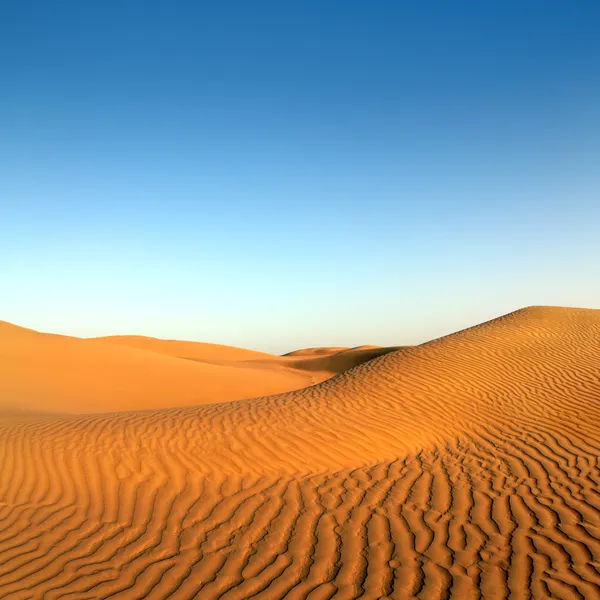 Evening desert landscape Royalty Free Stock Images