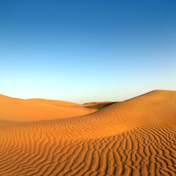 Abendliche Wüstenlandschaft lizenzfreie Stockbilder