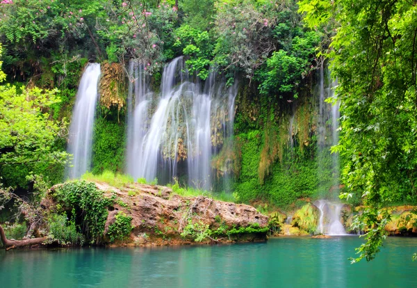 Wasserfall im Wald — Stockfoto