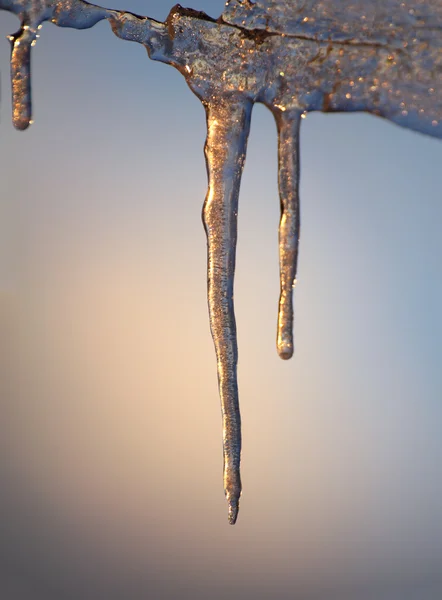 Sparkling icicle at sunset — Stock Photo, Image