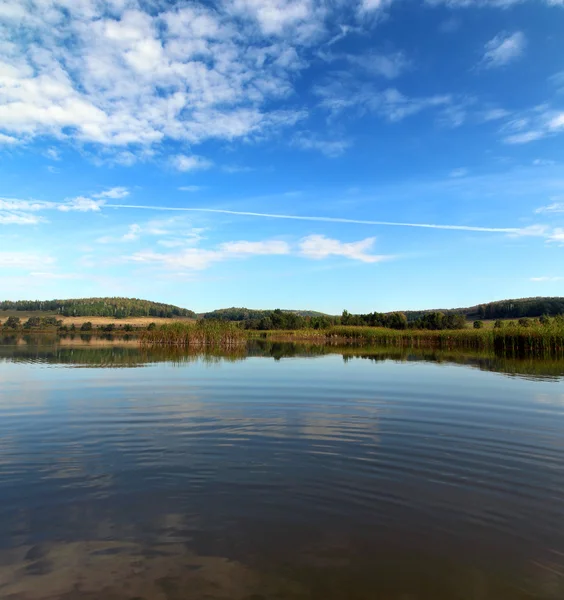 Verão paisagem lago — Fotografia de Stock