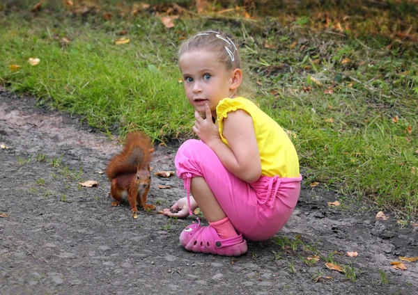 Bambina che nutre lo scoiattolo con le noci — Foto Stock