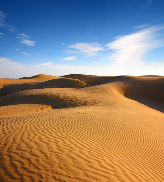 Συνολική επιφάνεια υπαίθριων στην έρημο — Φωτογραφία Αρχείου