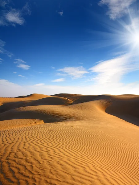 Landsape in desert — Stock Photo, Image