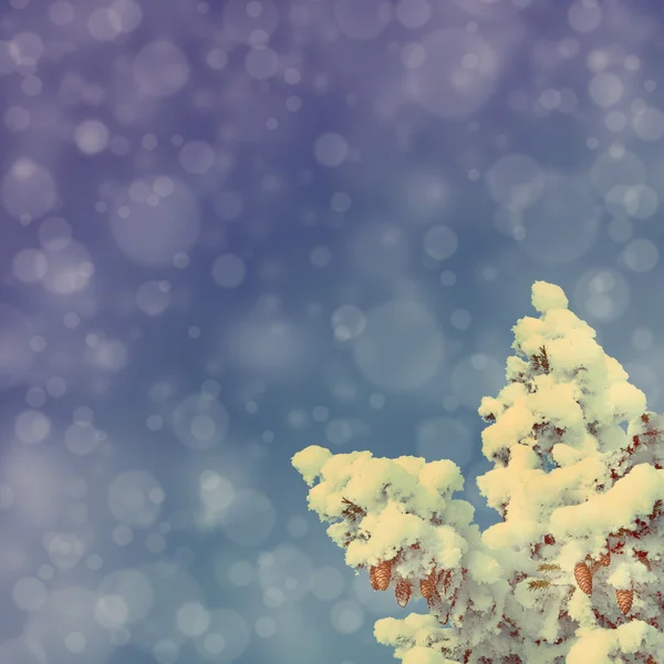 Blauwe hemelachtergrond met Kerstmis fir - vintage retro stijl — Stockfoto