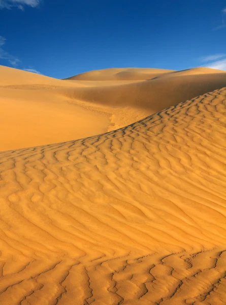 Landsape in desert — Stock Photo, Image