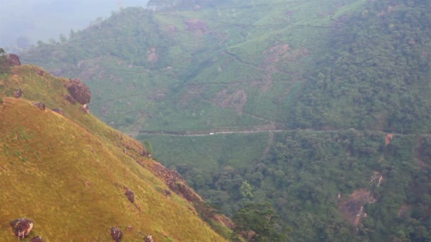 Горный ландшафт с дорогой в Муннар Керала Индия — стоковое видео