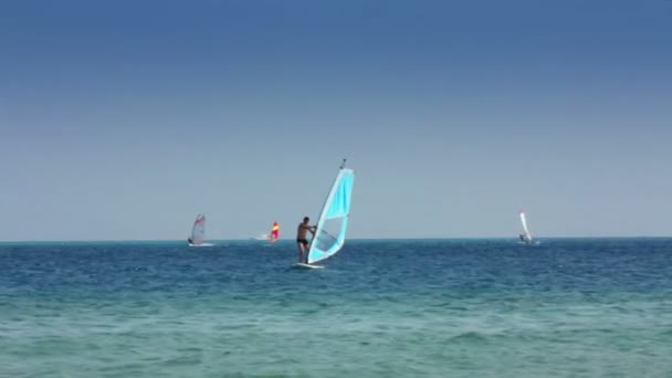 Rüzgar Sörfü - adam windsurfer üzerinde binmek öğrenir. — Stockvideo