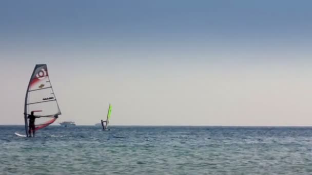 Віндсерфінг - серфери на поверхні блакитного моря — стокове відео