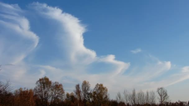 Nuvens que se movem sobre a floresta de outono - timelapse — Vídeo de Stock