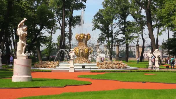 Renovado parque jardín de verano en San Petersburgo Rusia — Vídeo de stock