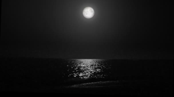 Nacht maan en moonbeam in zee — Stockvideo