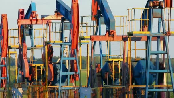 Many working oil pumps — Stock Video