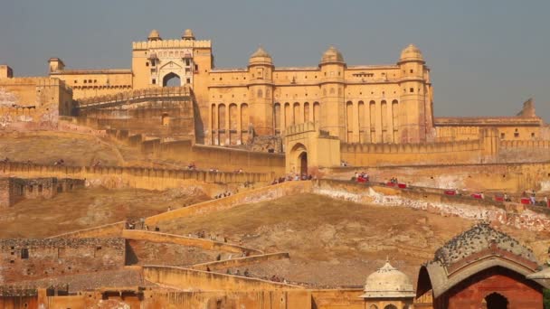 Elephants going to fort in Jaipur India — Stock Video