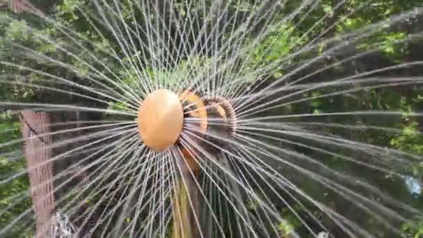 Sol fragmento de fuente en petergof parque San Petersburgo Rusia — Vídeo de stock