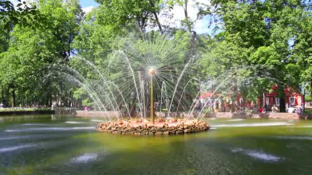 Fuente de sol en Petergof parque San Petersburgo Rusia — Vídeo de stock