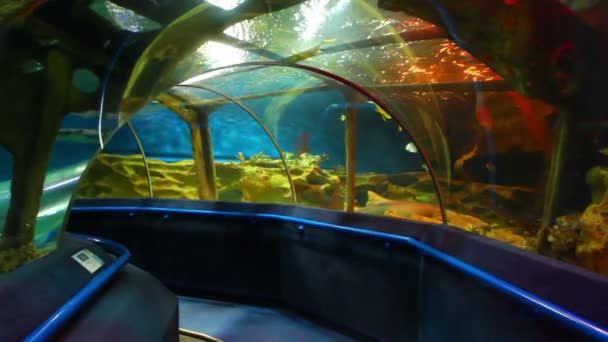 海洋水族馆 — 图库视频影像