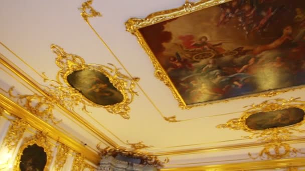 Ceiling in Pushkin St. Petersburg Russia — Stock Video