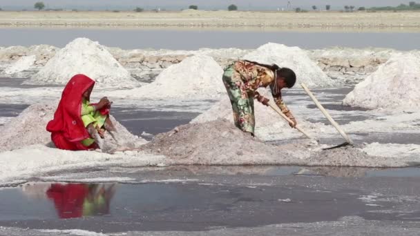 Mineração de sal no lago Sambhar, na Índia — Vídeo de Stock