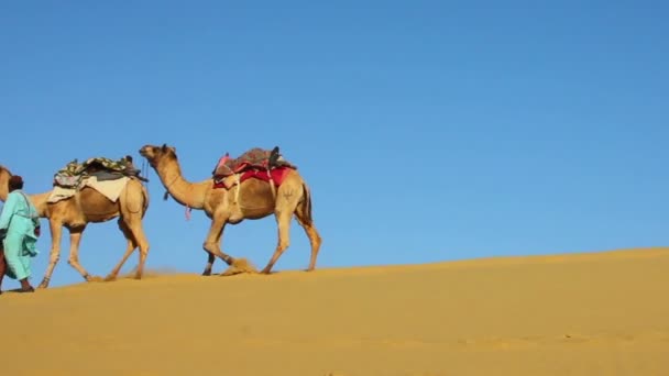 Cameleers en el desierto - caravana de camellos en la duna de arena — Vídeos de Stock