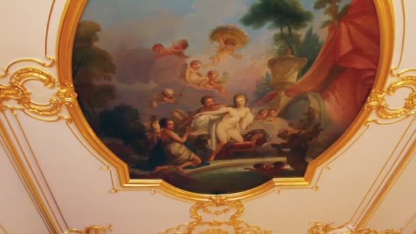 Intérieur du palais à Pouchkine Saint-Pétersbourg Russie — Video