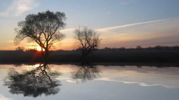 Sunrise táj fa és tó — Stock videók