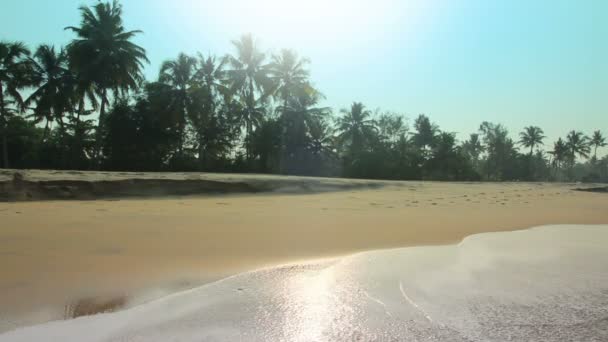 印度在海滩上的美丽的早晨景观 — 图库视频影像