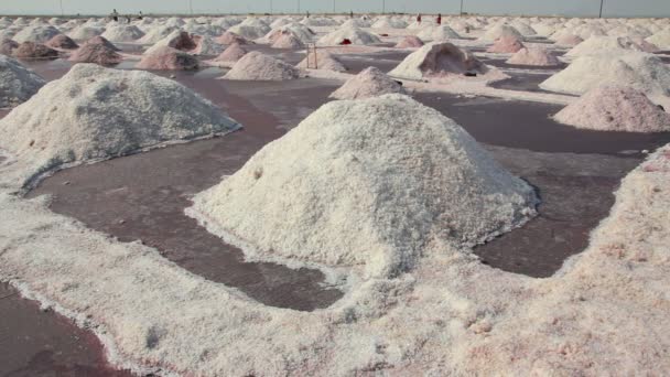 Видобуток солі на Самбарське солоне озеро в Індії — стокове відео