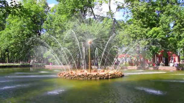 Fuente de sol en Petergof parque San Petersburgo Rusia - timelapse — Vídeo de stock