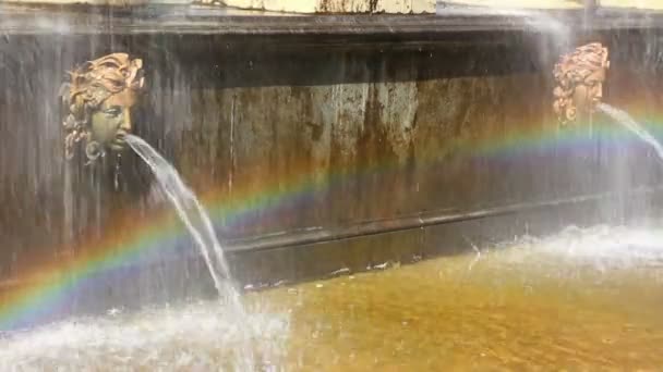 Aslan Çeşmesi parçası petergof park st. petersburg Rusya çağlayan — Stok video