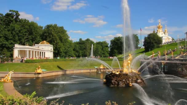 Berömda petergof samson fontän i st. petersburg Ryssland — Stockvideo