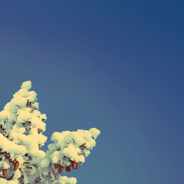 Fundal albastru cer cu brad de Crăciun stil retro vintage — Fotografie, imagine de stoc